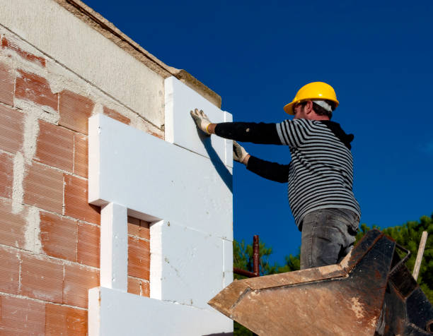 Best Insulation Installation Services in Dalzell, SC